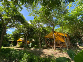 Ecostay Glamping Rainbow Forest